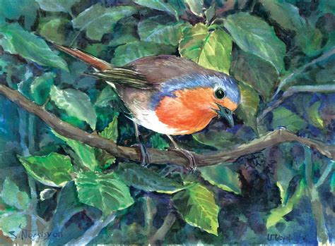 Buy Original Art By Suren Nersisyan Watercolor Painting Robin In