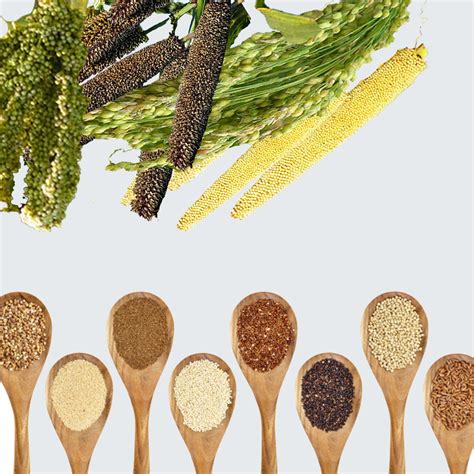 Why Millets Are Processed And Why Should I Buy Organic Millets The