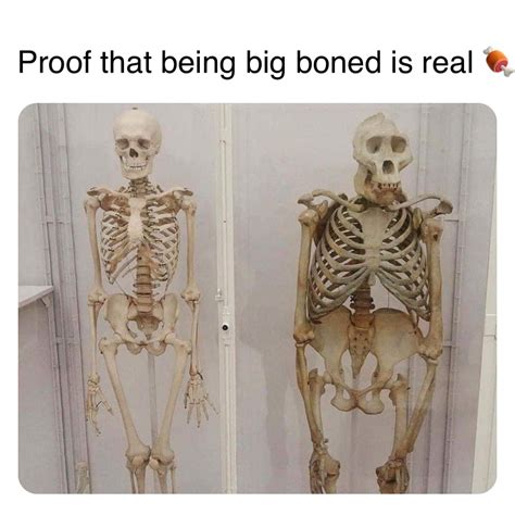 Proof That Being Big Boned Is Real 🍖 Gimmiedemmemes Memes