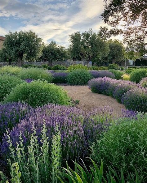 Landscaping With Lavender 25 Lavender Garden Design Ideas Best Mystic Zone