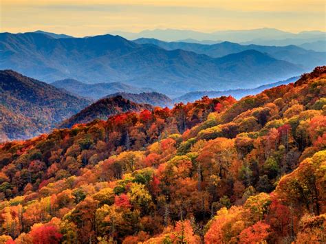 Smoky Mountains Fall Colors 2024 Mina Suzann