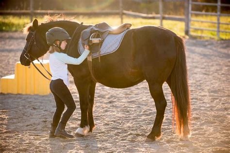 Horse Riding Summer Day Camps Adk Stables Kingston Napanee Stone Mills