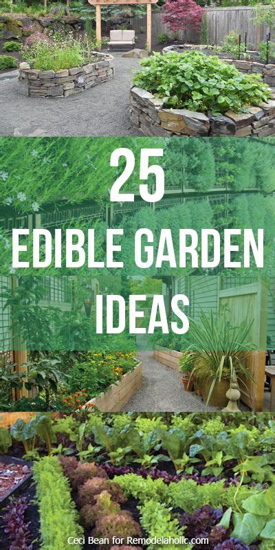 Remodelaholic 25 Edible Garden Ideas Edible Garden Growing