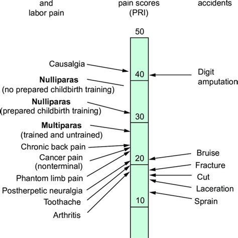 Comparison Of Pain Scores Using The Mcgill Pain Questionnaire Obtained