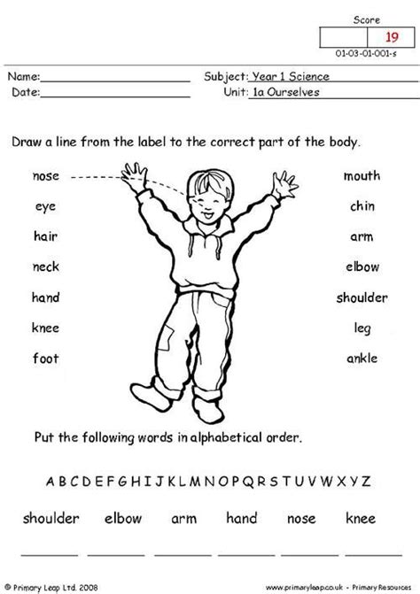 Parts first grade, our body is wonderful, my body practice page for ist grade, our body, joints, my body moves, body movement, importance of thumb, how is. First Grade Body Parts Worksheet For Grade 1 - Free Download Wallpaper