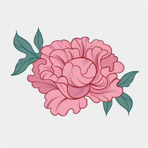 Peony Image Royalty Free Stock Svg Vector