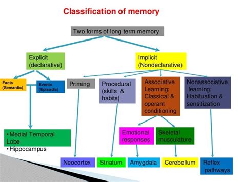 Physiology Of Memory And Learning