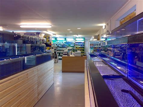 Croydon Maidenhead Aquatics Fish Store Review Tropical Fish Site