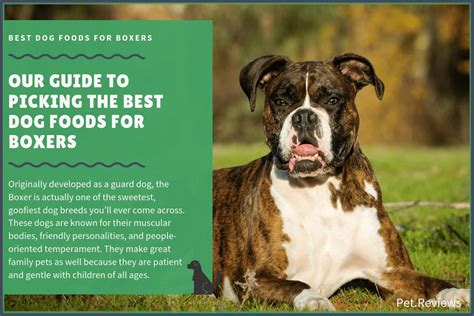 Nomnomnow fresh food delivery service. 10 Best (Healthiest) Dog Foods for Boxers in 2020