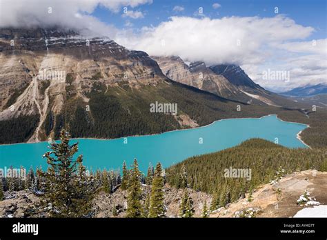 Vista Elevada Sobre El Lago Peyto Que Es Coloreada Por Sedimentos