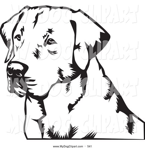 Color in this picture of a labrador and others with our library of online coloring pages. Royalty Free Labrador Stock Dog Designs