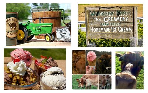 Woodside farm and waterpark, philippines, cabuyao, purok 6: Woodside Farm Creamery