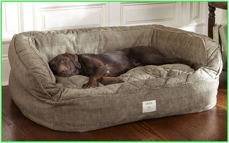 Designer Dog Beds For Large Dogs Ideas On Foter