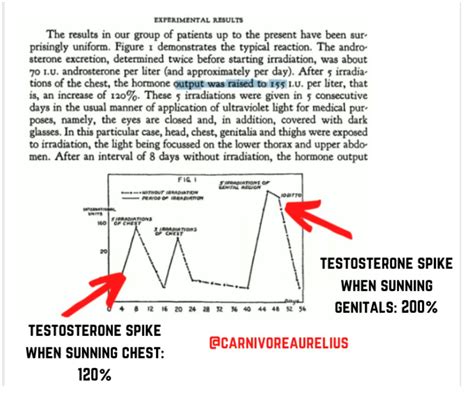 Why You Need To Sun Your Genitals And Balls Perineum Carnivore Aurelius