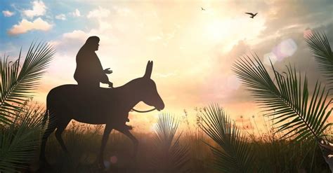 Jesus Triumphal Entry 8 Things About Palm Sunday You