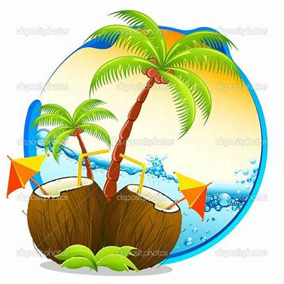 Coconut Clip Drink Tropical Drinks Shell