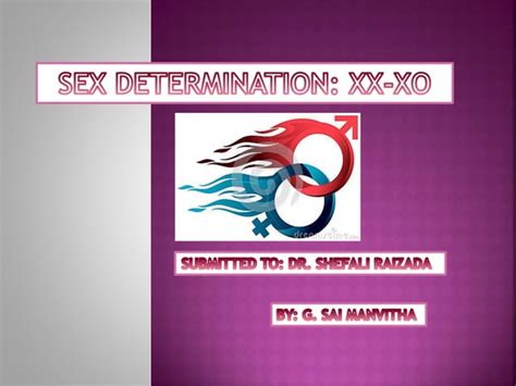 xx xo sex determination ppt