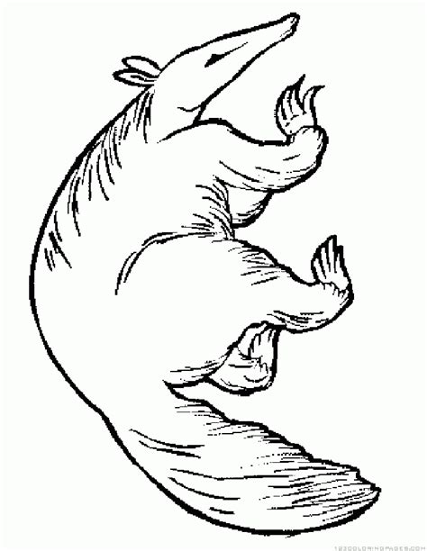 This giant anteater (coloring page) clipart is great to illustrate your teaching materials. Anteater Coloring Pages