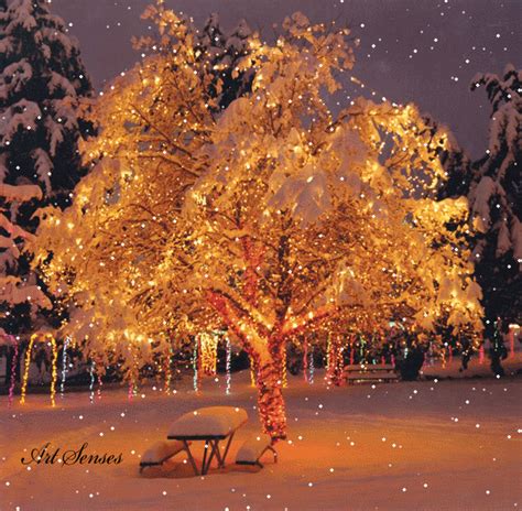 Snow Falling Over Christmas Tree Pictures Photos And Images For