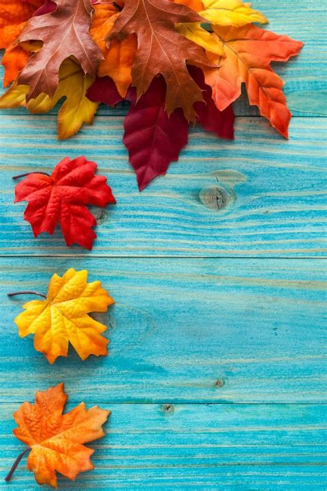 Autumn Leaves Nature Iphone Wallpapers Mobile9 Iphone