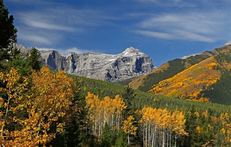 Wallpaper Autumn Trees Mountains Canada Albert Kananaskis Images