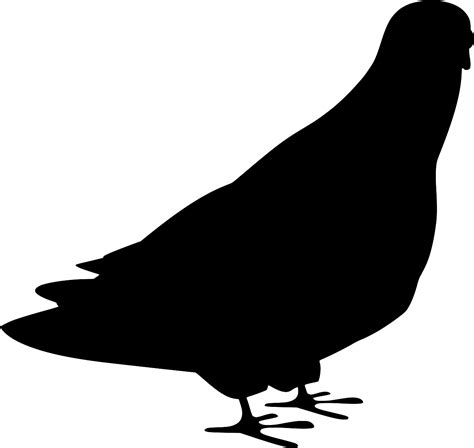 Download SVG > animal dove bird wing - Free SVG Image & Icon. | SVG ...