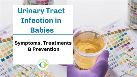Urinary Tract Infection In Babies Preventionsymptoms And Treatments