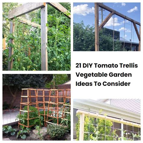 21 Diy Tomato Trellis Vegetable Garden Ideas To Consider Sharonsable
