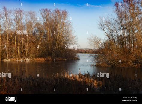nature, landscape, season, forest, outdoor, sky, background, tree, wood