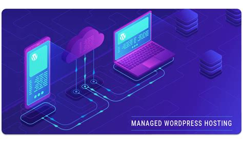 The Best Budget Top Tier And Managed Wordpress Hosting Options