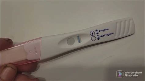 Pregnancy Testing 3 Days Before Missed Period 10 Dpo Maybe