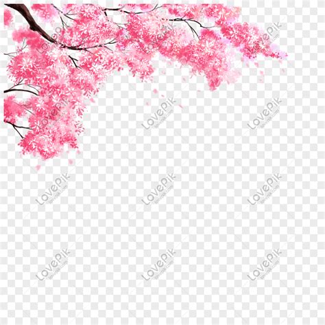 Gambar Bunga Sakura Png Unduh Gratis Lovepik