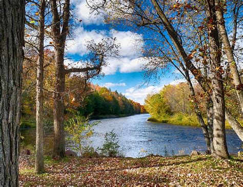 Hd Wallpaper Brown Trees Beside River During Daytime Blue Lake Green