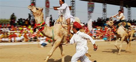 Camel Festival Bikaner Rajasthan ~ Rajasthan Gk Current Affairs 2023