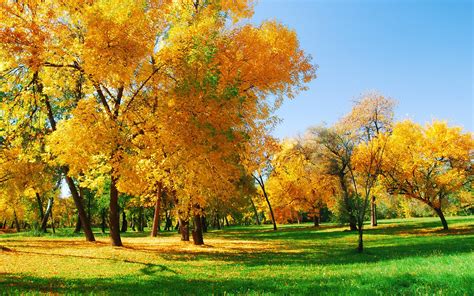 Glorious Autumn Sunshine High Definition High Resolution Hd