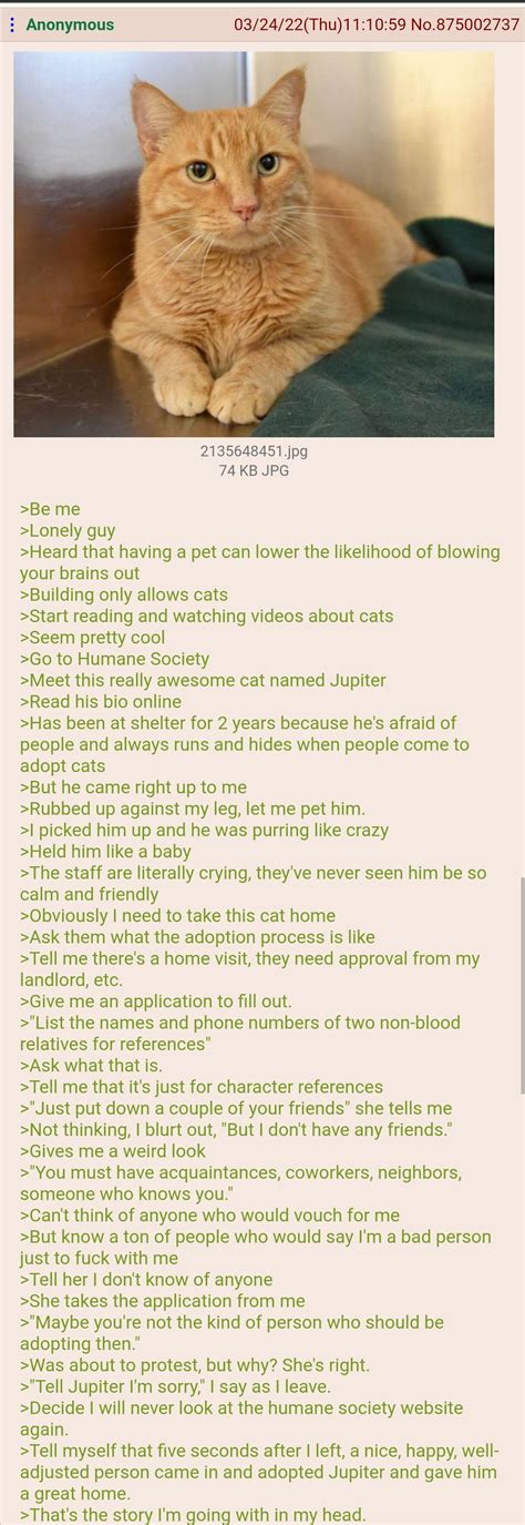 anon has no friends r greentext greentext stories know your meme