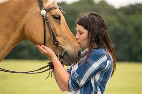 Do Horses Like Humans Horse Is Love