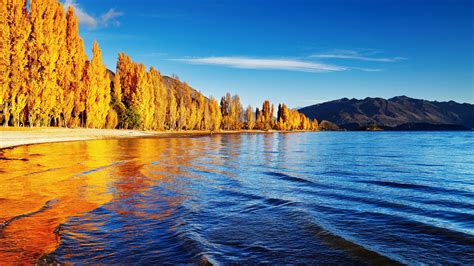 Autumn Landscape Lake Wanaka New Zealand Windows 10