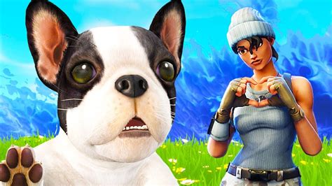 Unlocking Pets In Fortnite Chaos Youtube