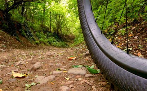 A palindrome is a word, sentence, or number that reads the same from left to right as from right to left. Palindrom MP1 carbon hoops combine huge spoke offset, Italian roots, and modern tech - Bikerumor