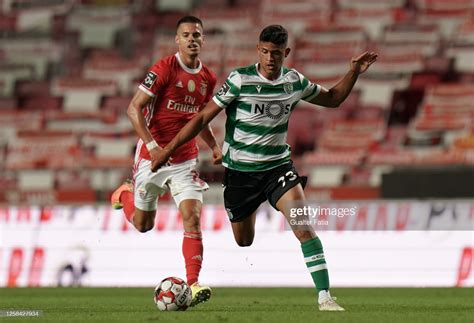 Sporting vs benfica, portugal primeira liga soccer predictions & betting tips, match analysis predictions, predict the upcoming soccer matches sporting vs benfica predictions, football tips and statistics for this match of portugal primeira liga 01/02/2021. Sporting vs Benfica Betting Tips & Predictions | Match ...