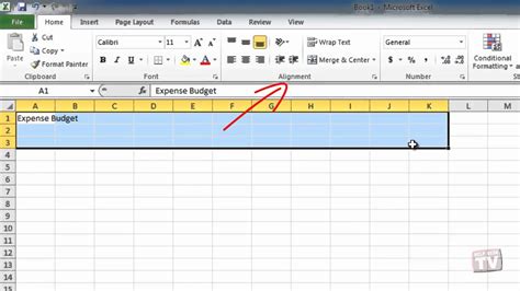 Aligning And Formatting Text In Excel 2010 Youtube