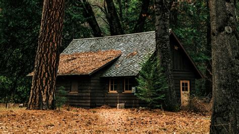 Построить дом из леса фото