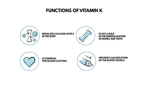Vitamin K Essential For Blood Clotting And Bone Health