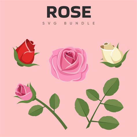 9 Rose Svg Designs Masterbundles