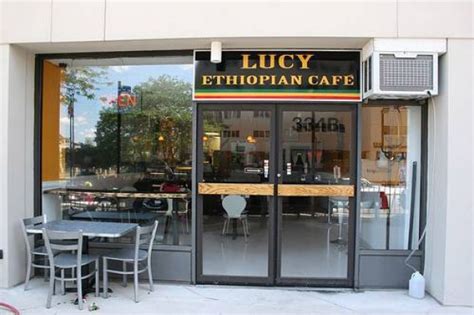 Lucy Ethiopian Cafe Boston 02115 Casual Dining Boston Guide