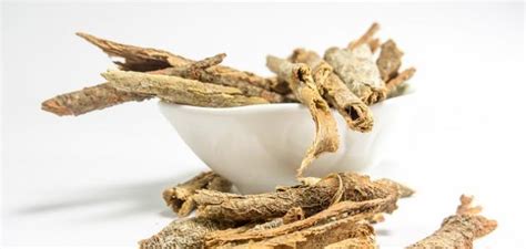 The health benefits of ashwagandha | iherb. ما فوائد القسط الهندي , اهم الاشياء التي يجب شرائها للصحة ...