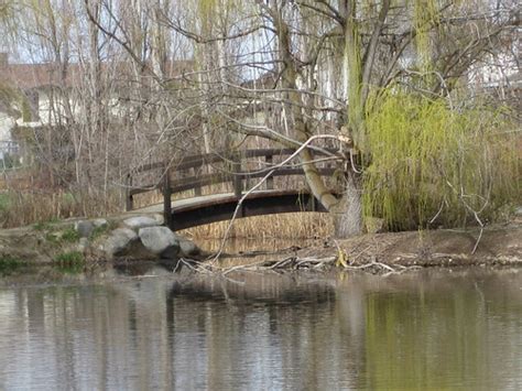 Wetland Bridge Trail Bridge In The Chichester Wetland Jamica1 Flickr