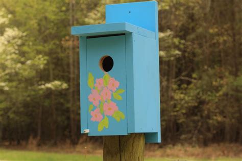 Build a diy bluebird house to attract your favorite songbird and add to thriving habitats known as bluebird trails. How to Build a Bluebird House | how-tos | DIY
