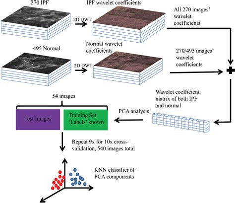Flow Chart Of Wavelet Principal Component Analysis Download Scientific Diagram